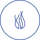 黃金海藻