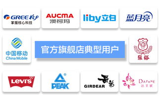 臺州飛速網絡 一站式網站建設、淘寶代運營與優(yōu)化服務專家