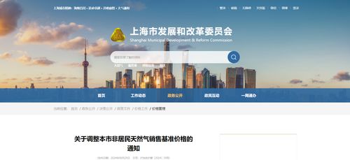 上海市發(fā)改委調(diào)整非居民天然氣售價(jià) 對(duì)軟件代理與開(kāi)發(fā)行業(yè)的影響與應(yīng)對(duì)策略